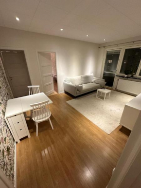 Modern central Gothenburg apartment with balconies and full kitchen for up to 5 guests, Göteborg